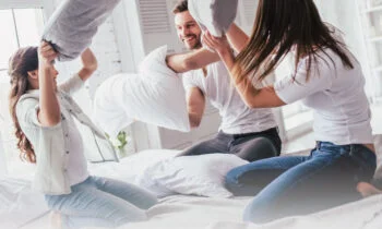 WERNIGHT-2024-350x210